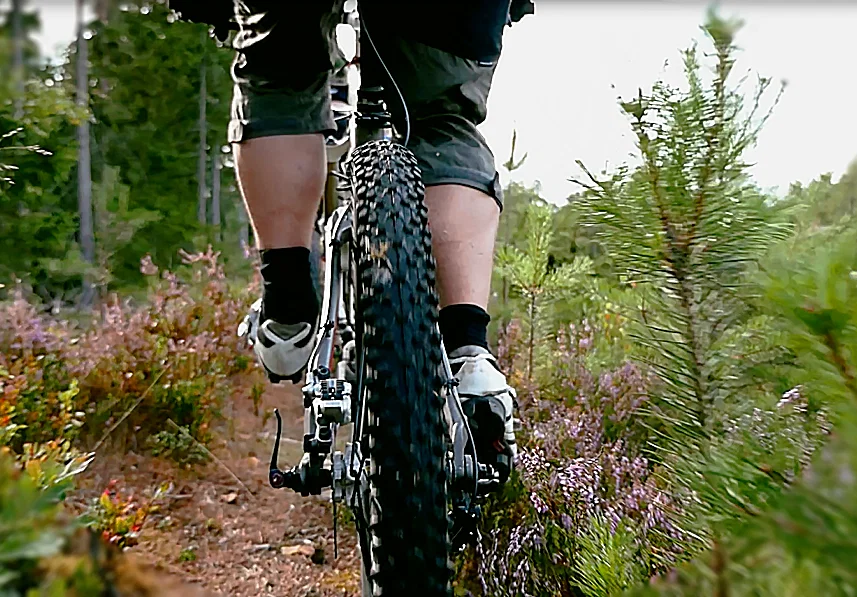 Aktivitätsgebiet Svartbäcksmåla