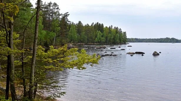 Angeln in Småland am See – Ferienhaus Schweden Natur