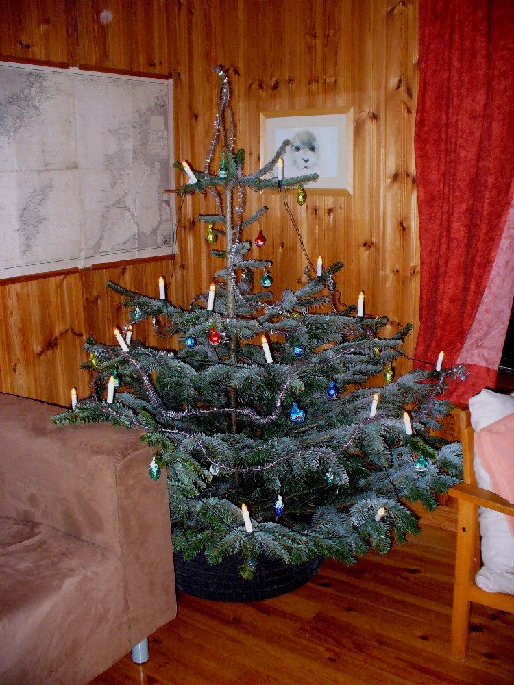 Bild 2